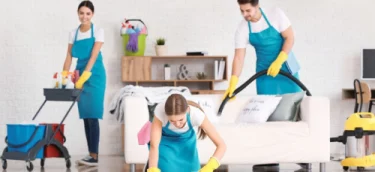 Home Domestic Cleaning Bluestone Cleaning Service