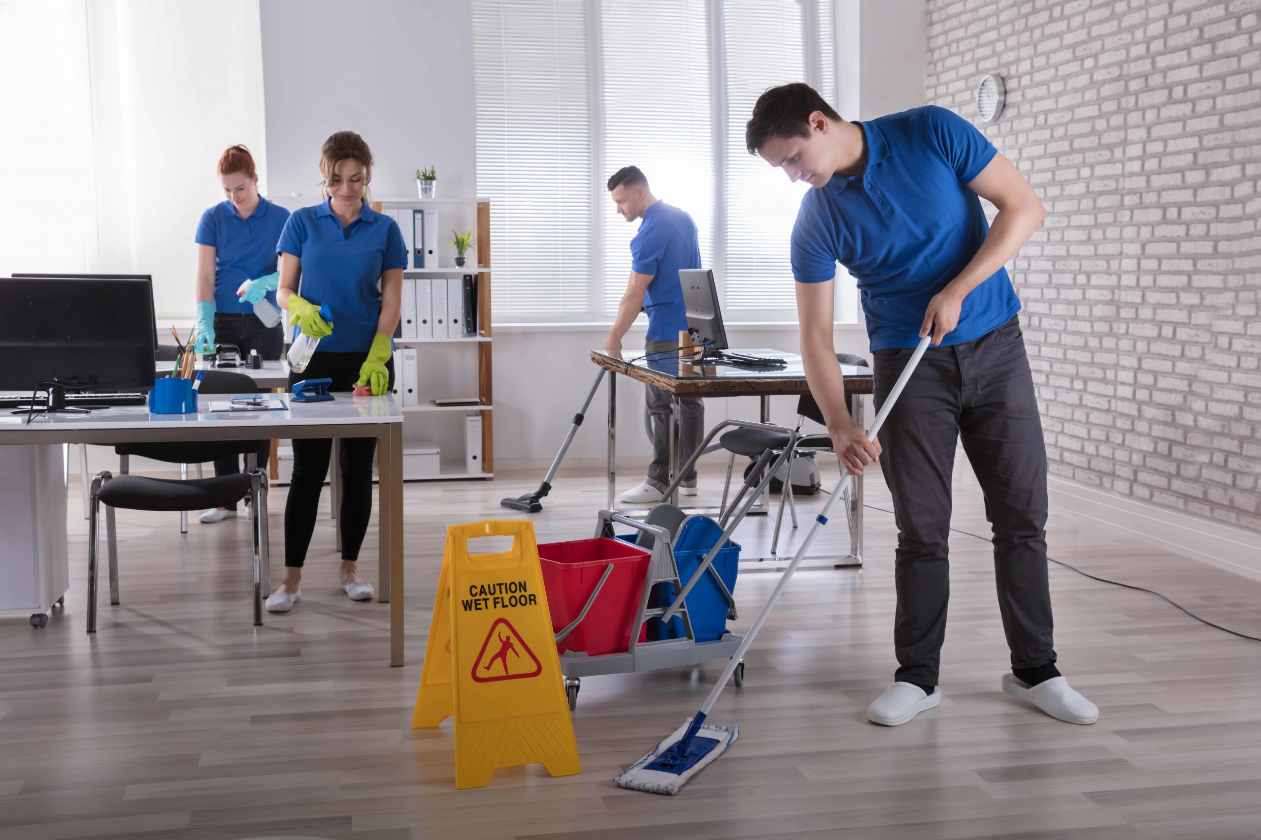 Bluestone Cleaning Services Most Affordable Cleaning Company